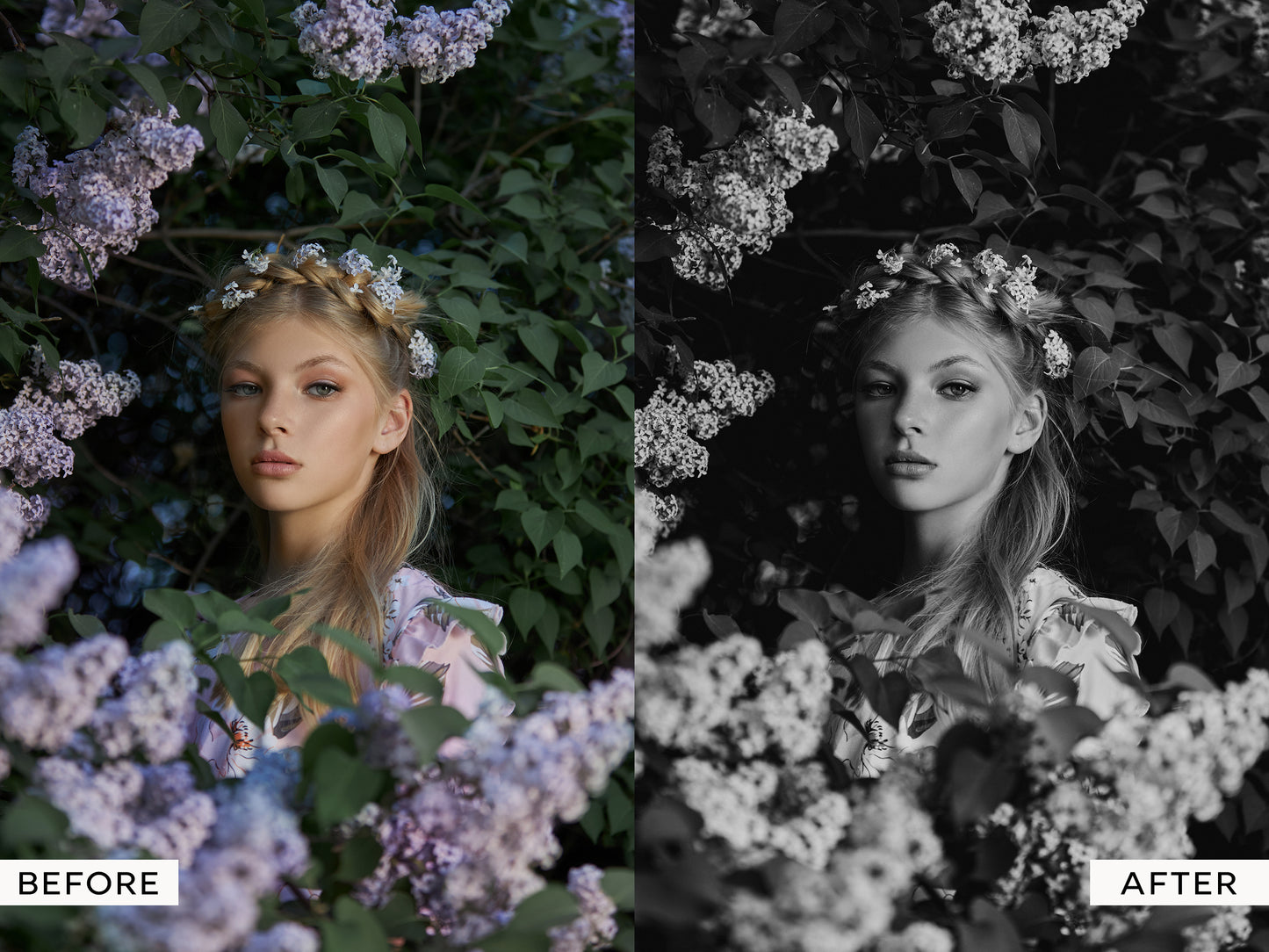 Artisan B&W Film Capture One Styles