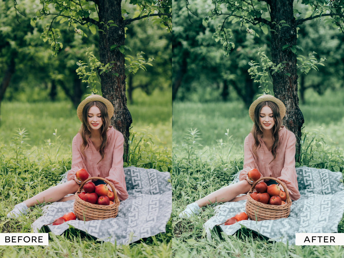 Sage Lightroom Presets