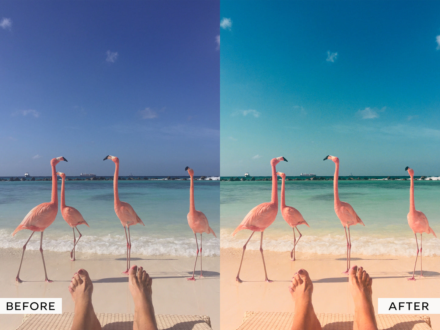 Paradise Capture One Styles