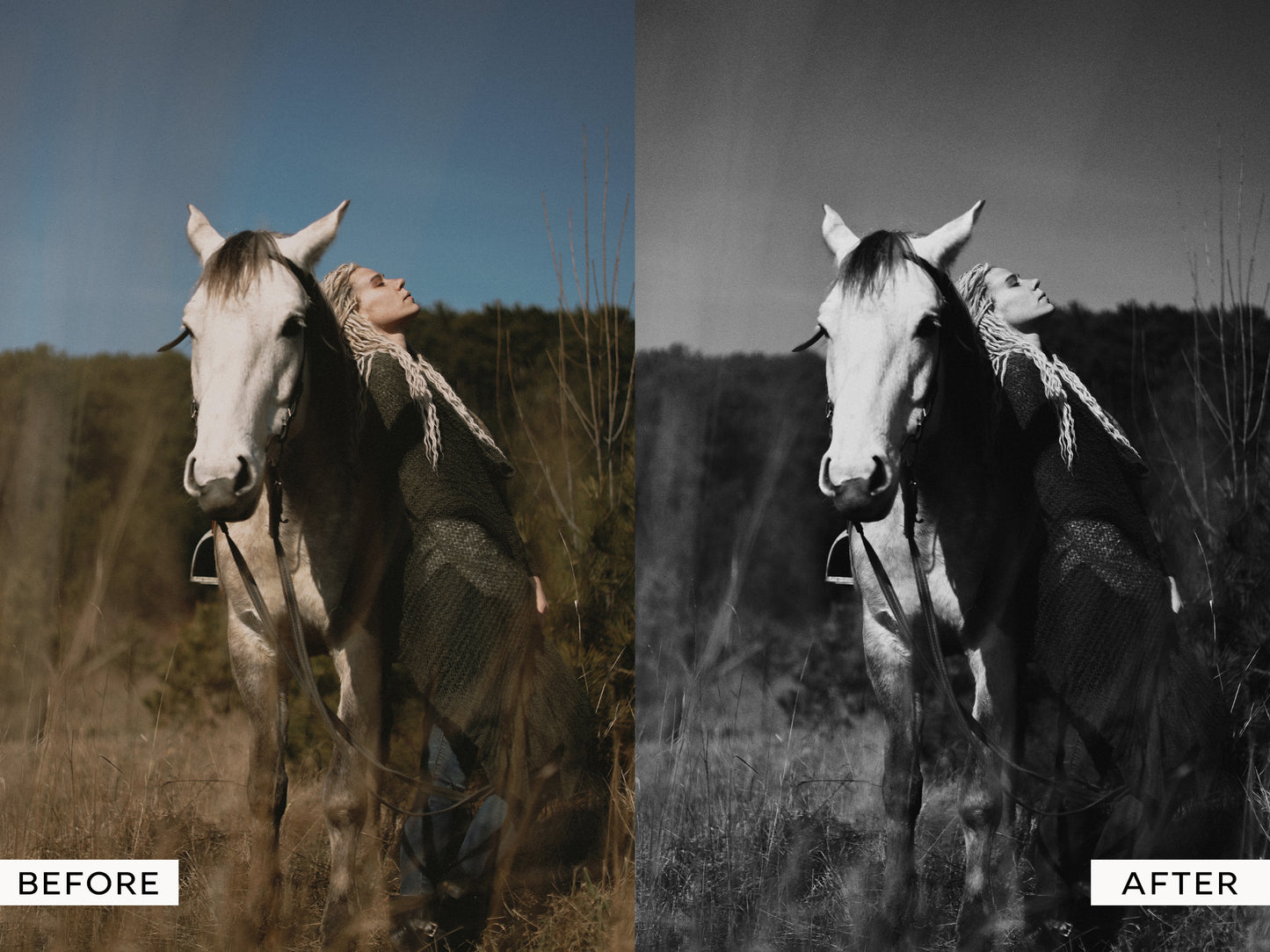 Monochrome Film Capture One Styles