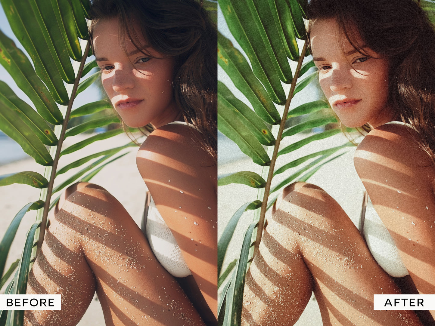 Portra Lightroom Presets