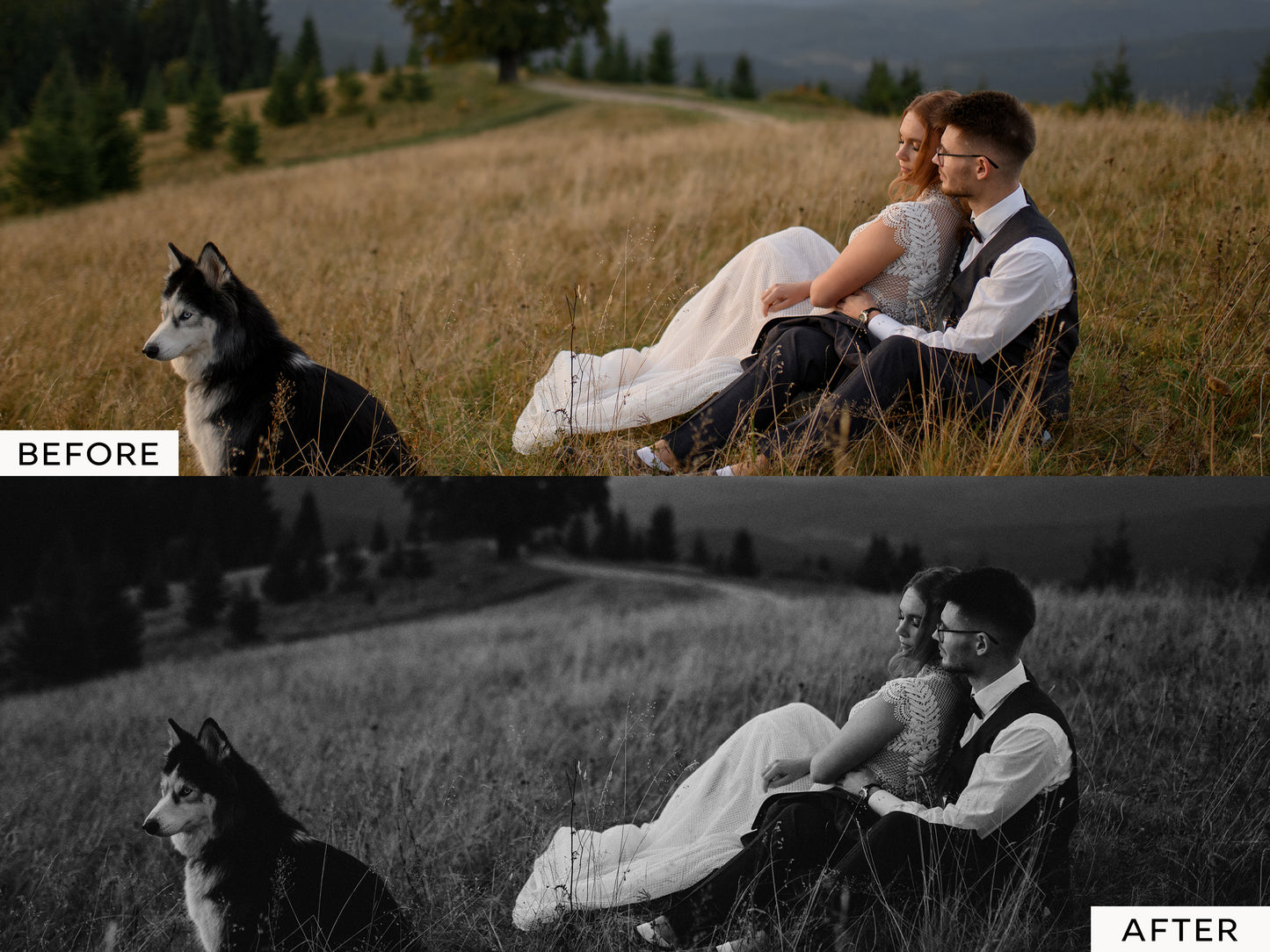 Artisan B&W Film Capture One Styles