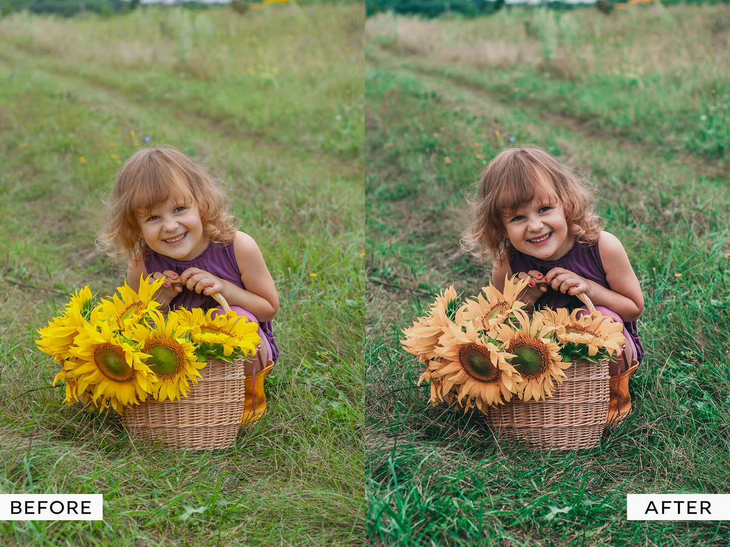 Evergreen Lightroom Presets