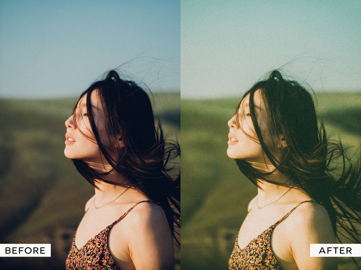 Disposable Lightroom Presets