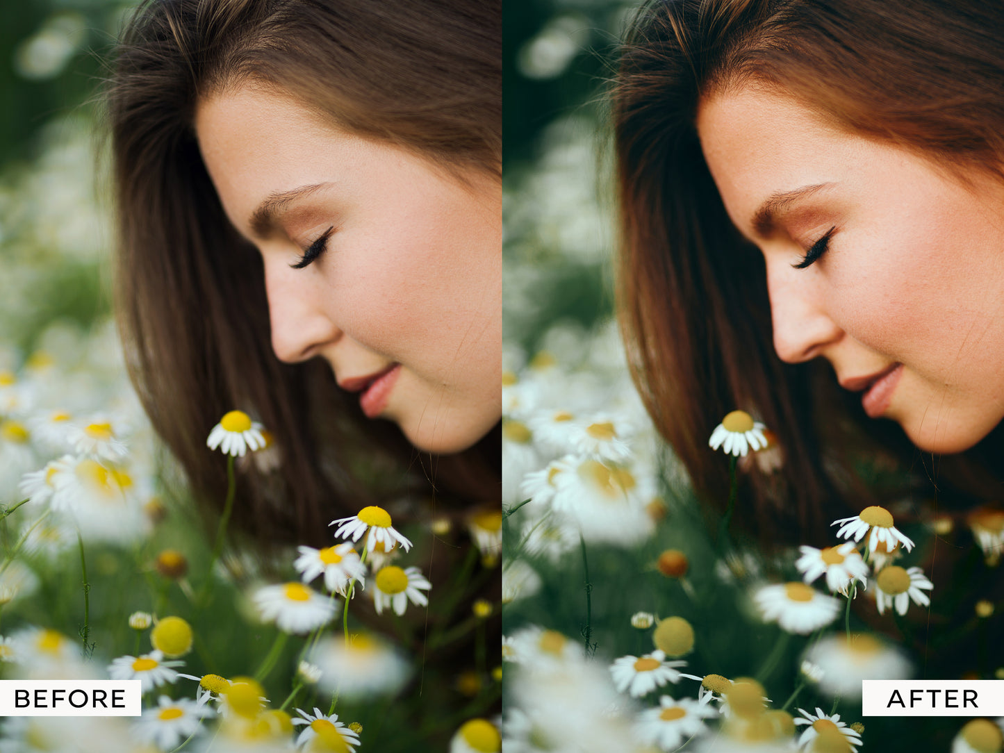 Evergreen Capture One Styles