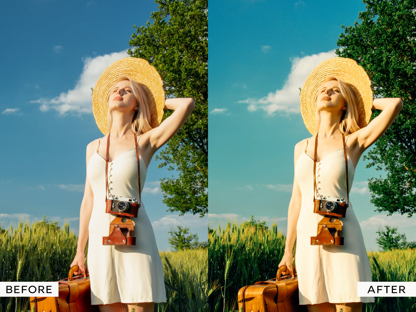 Classic Negative Capture One Styles