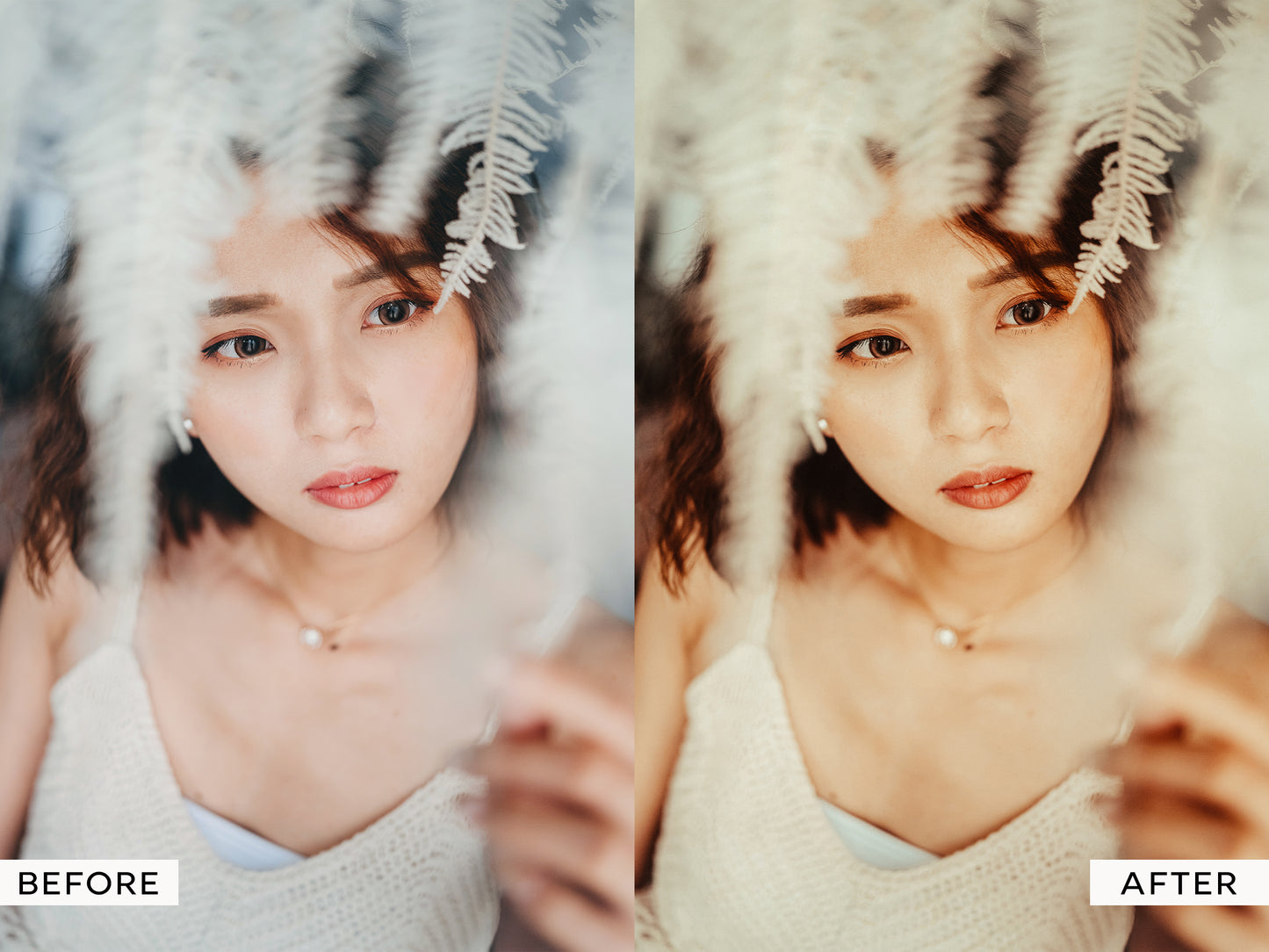 Rustic Lightroom Presets (v2)