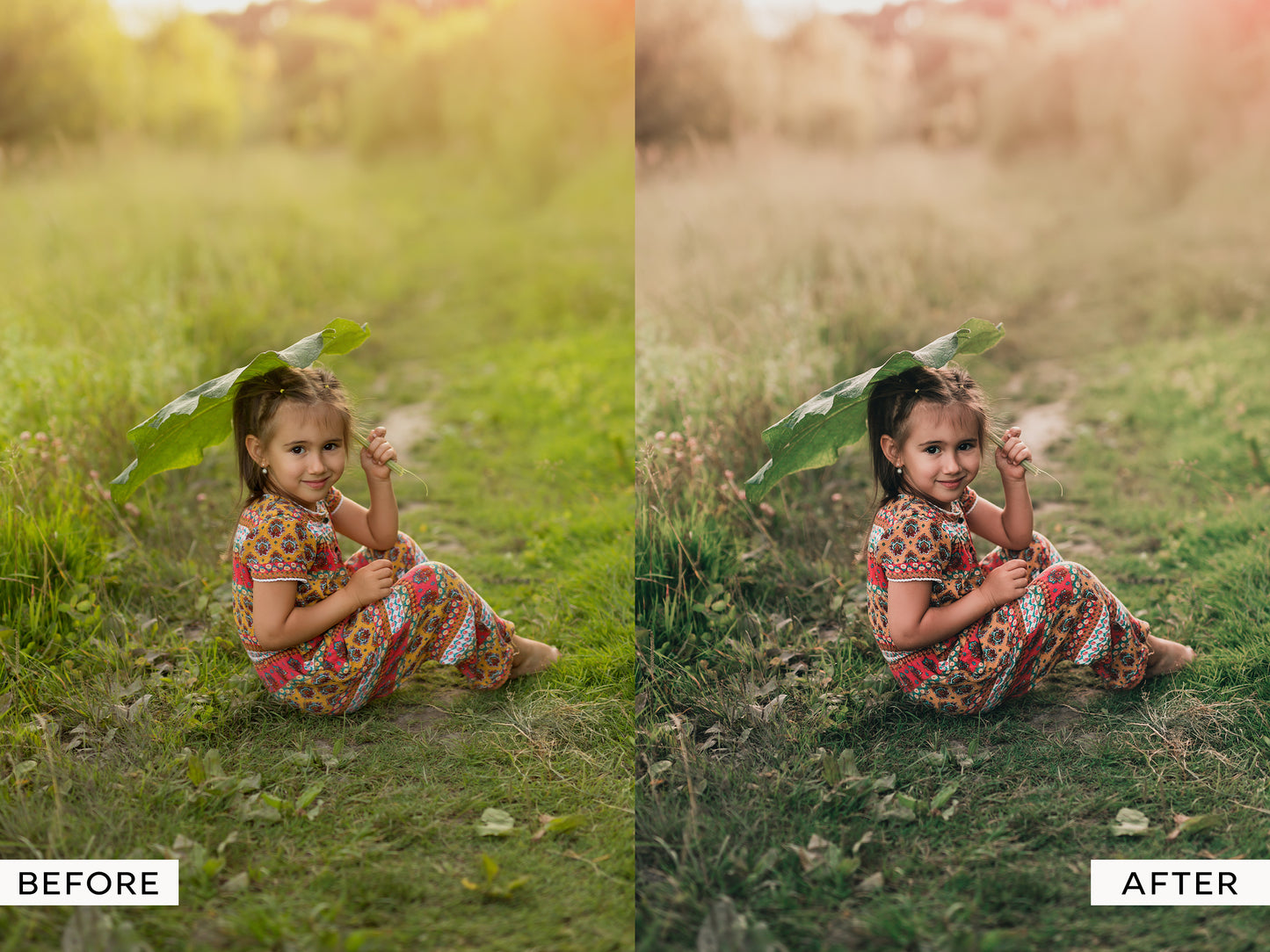 Evergreen Lightroom Presets