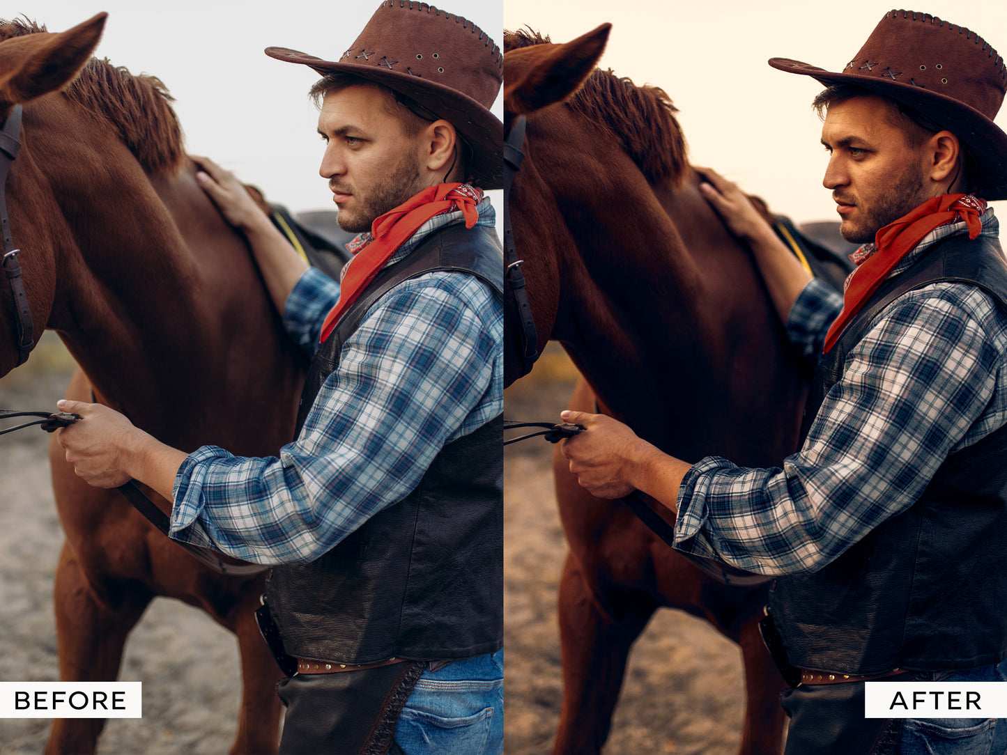 Wild West Capture One Styles