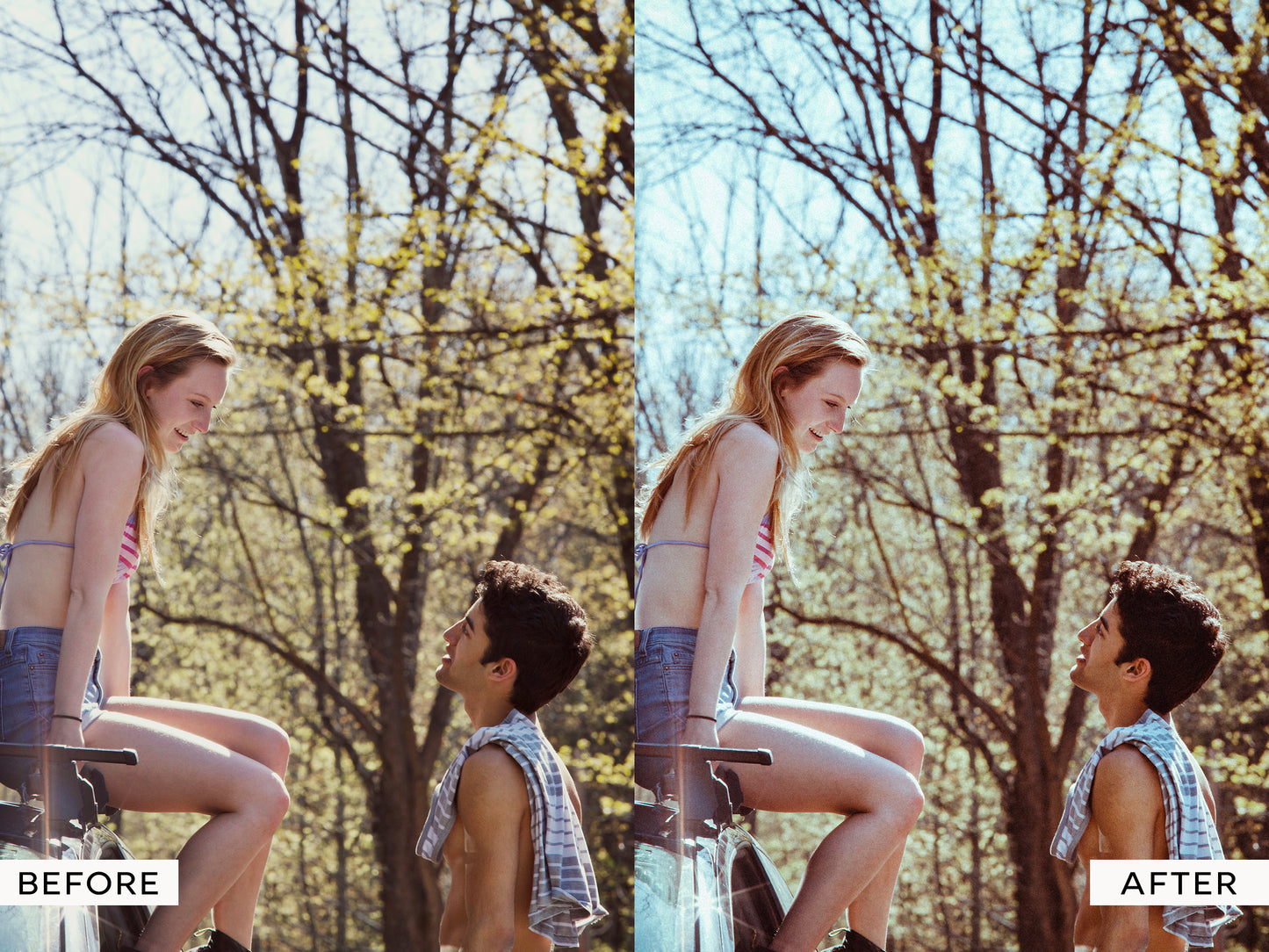 Agfa Lightroom Presets