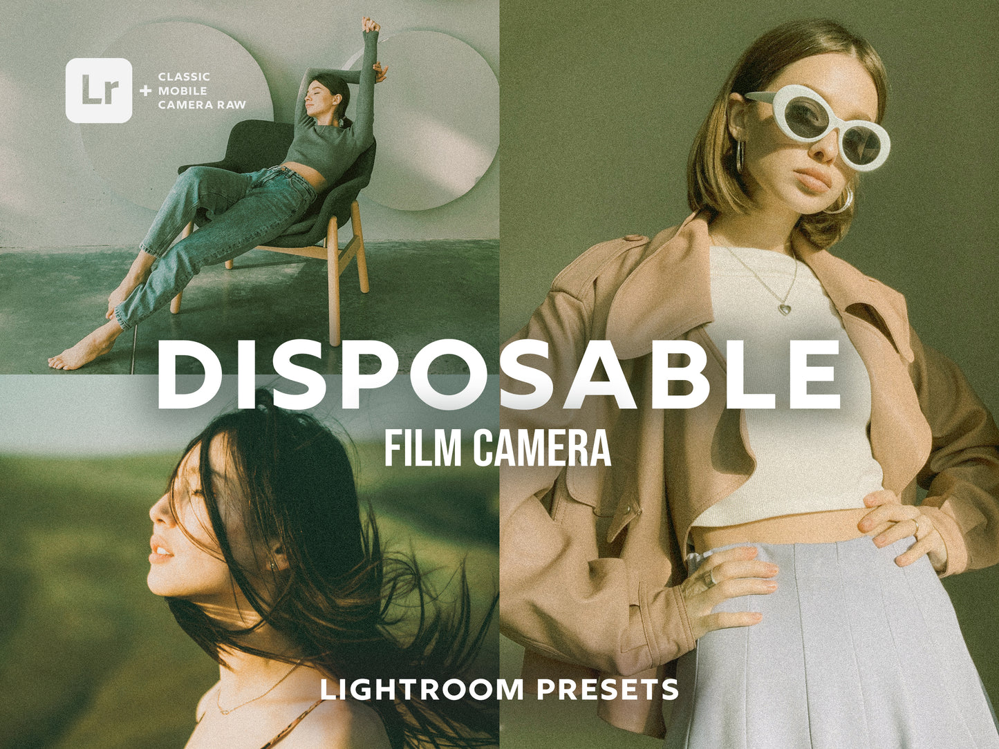 Disposable Lightroom Presets