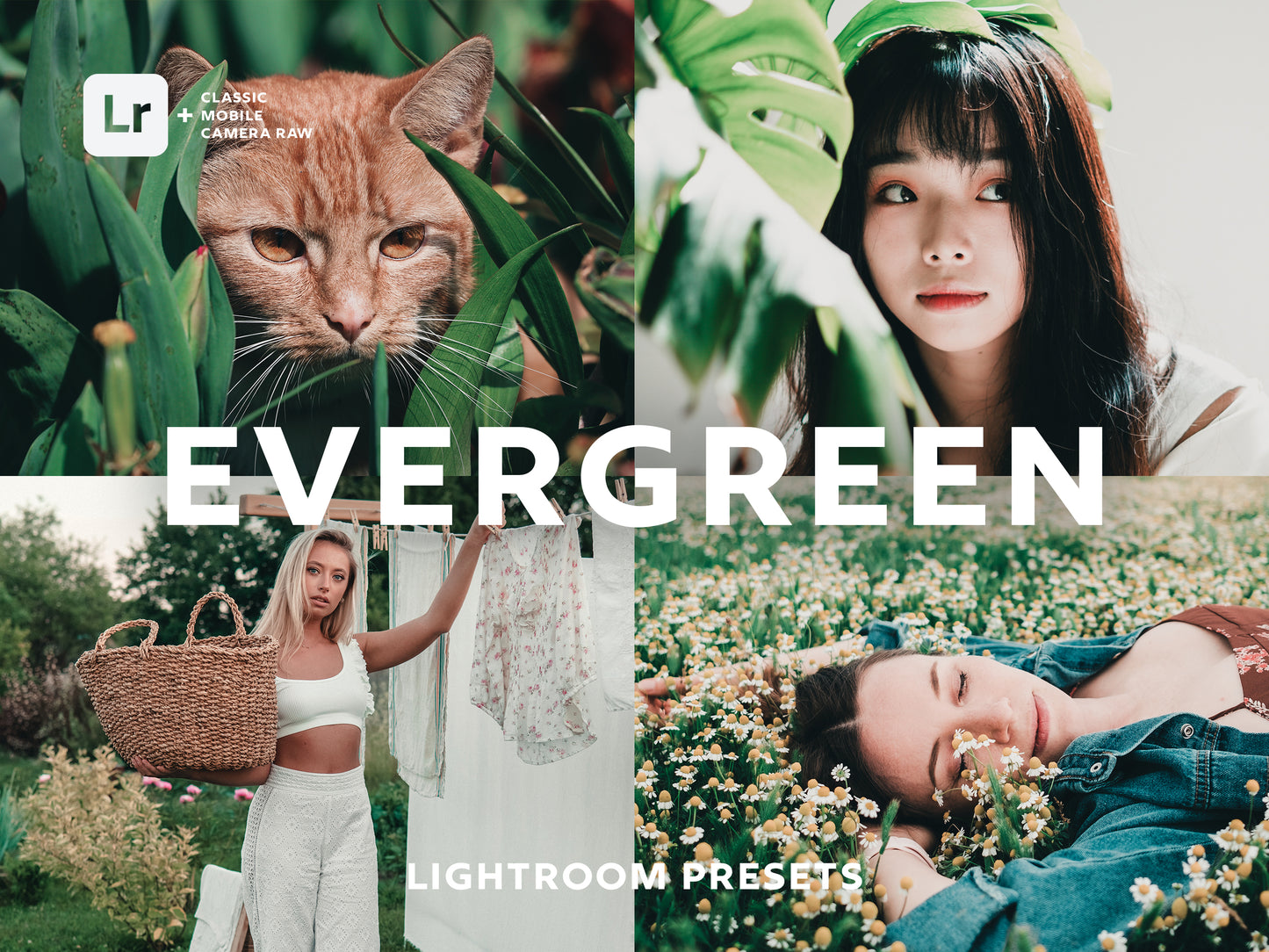 Evergreen Lightroom Presets